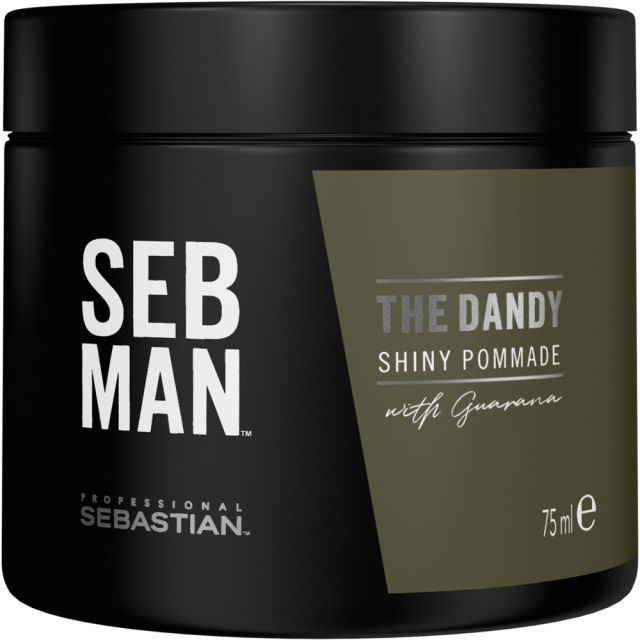 WELLA 12214 SEB MAN The Dandy Pomade 75 ml.