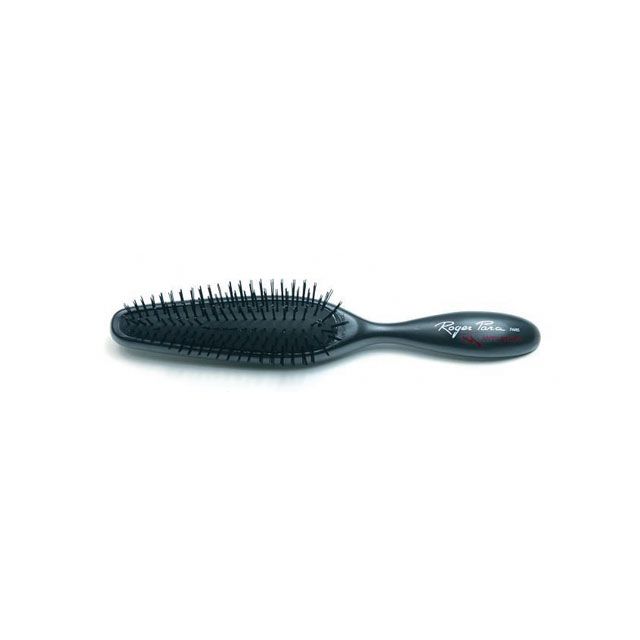 Roger Para Pneumatikbürste 062400 lang 6-reihig schwarz